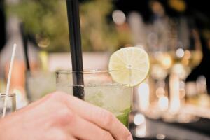 salud bacteria alimentos