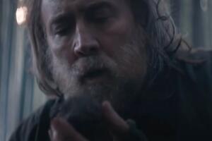 pig nueva película de nicolas cage.jpg