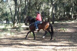 Irán Castillo y José manuel Figueroa