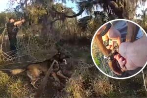 La unidad K-9 fue clave en la captura, demostrando la eficacia de los perros policía en operativos de rastreo.