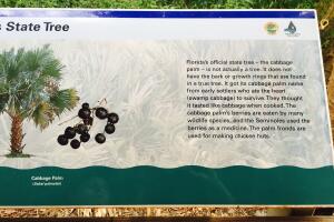 Cosas insólitas que solo se ven en Florida