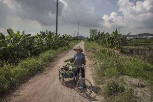 salud virus zika factoria china
