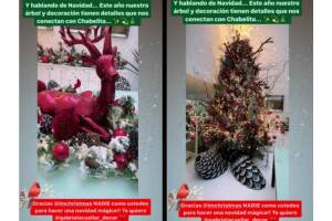 Andrea Legarreta muestra cómo decoró su árbol de Navidad