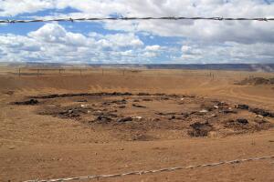 Caballos muertos en Arizona