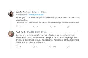 Perrito ayuda a estacionar carros reacciones