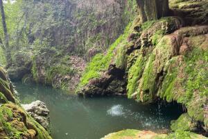 Westcave Preserve austin cascadas 