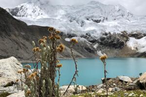 Peru_Palcacocha (Eng)