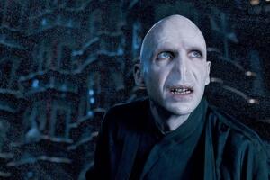 voldemort_mortifago_.jpg