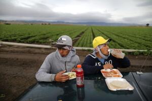 The Wider Image: Trump reassures farmers about temporary visas