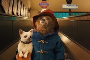paddington.jpg