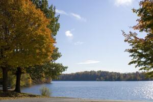 BOSQUE ESTATALES/Marsh Creek 2.jpg