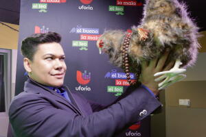 El niño prodigio y La gallina vidente