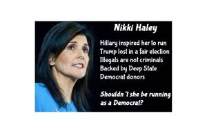 nikki 2 eldetector.jpeg