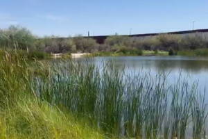 Tohono agua.jpg