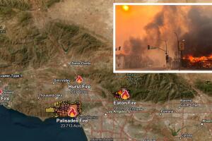 incendios-la (5).jpeg