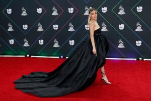 22nd Annual Latin GRAMMY Awards - Arrivals