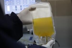 Virus Outbreak Bolivia