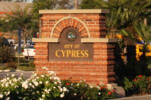37 cypress.jpg