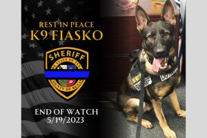 Fiasko San Antonio Texas perro policía K9 detenciones
