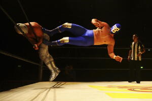 Santo y Blue Demon