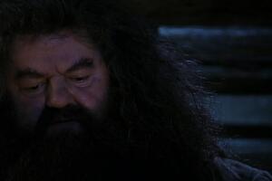 hagrid_en_harry_potter.jpg