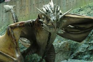 Harry Potter and the Goblet of Fire - House of the Dragon y otras producciones con dragones.jpg