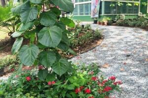 Inauguran mariposario en Puerto Rico