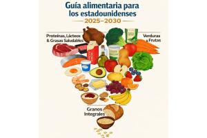 Piramide alimenticia