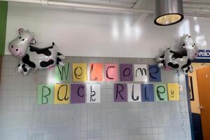 Bienvenida por parte de sus amigos. 