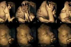 bebe-mae-fumante-1400x400-0418.jpg