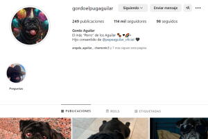 Esta es la cuenta oficial de la mascota de Pepe Aguilar. 