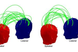 La conexión entre cerebros