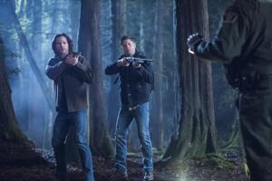 supernatural_series.jpg