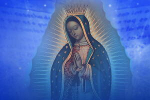 Alto Impacto La Rosa de Guadalupe