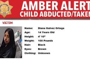 Diana Gálvez Ortega, de 14 años, podría estar en peligro.