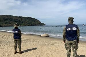 Resguardo del elefante marino en Nayarit, México