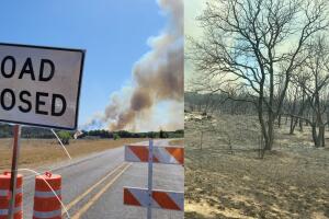 incendios-forestales.jpeg