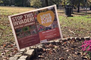 Love your park 6 