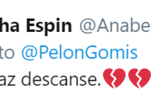 Ana Bertha Espín.png