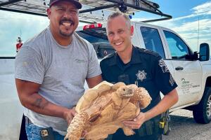 rescate tortuga 1.jpg