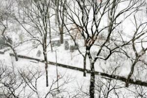 NY amanece totalmente blanca por tormenta de nieve