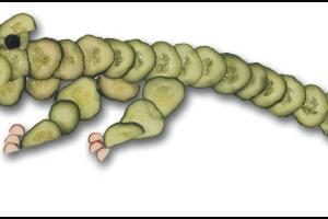 figuras con ensaldas