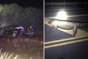 mujer embarazada choque caimán IH 35 Texas