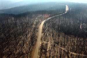 incendios-australia-1.jpg