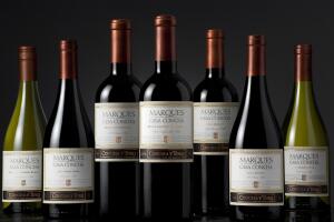 Concha-y-Toro-merlot-5.jpg