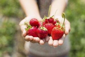 como-hacer-licor-de-fresas-casero-2.jpg