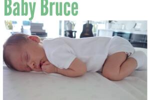 BRUCE4.jpg