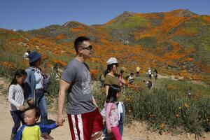 Super Bloom Shutdown