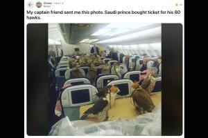 Príncipe de Arabia Saudita compró un boleto de avión para cada uno de sus halcones
