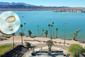 Investigan posible caso de ameba come cerebros en el condado de Mohave